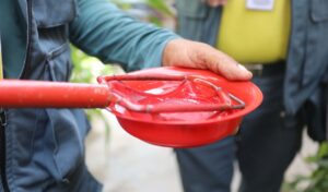 Combate à dengue em Fortaleza