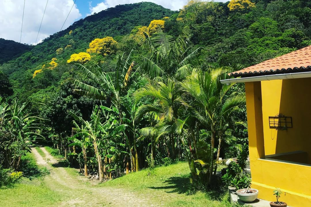 Foto do Sítio Monte Carmelo, em Baturité - Ceará