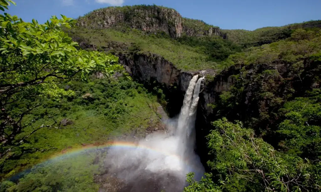 Trilha do Caminho dos Veadeiros