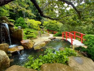 Parque da Cerejeira, em Campos do Jordão