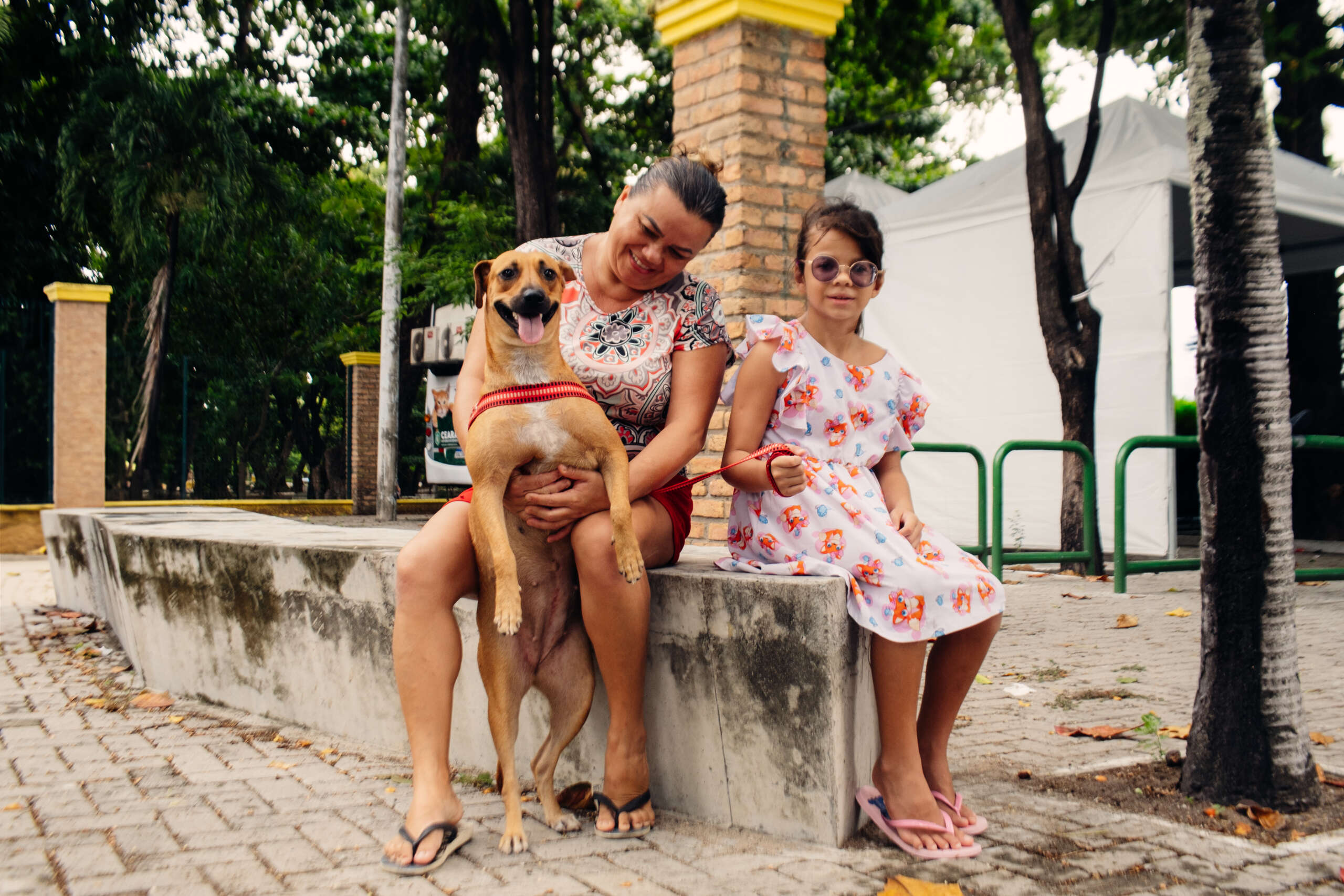 Pet Ceará Móvel em Iguatu