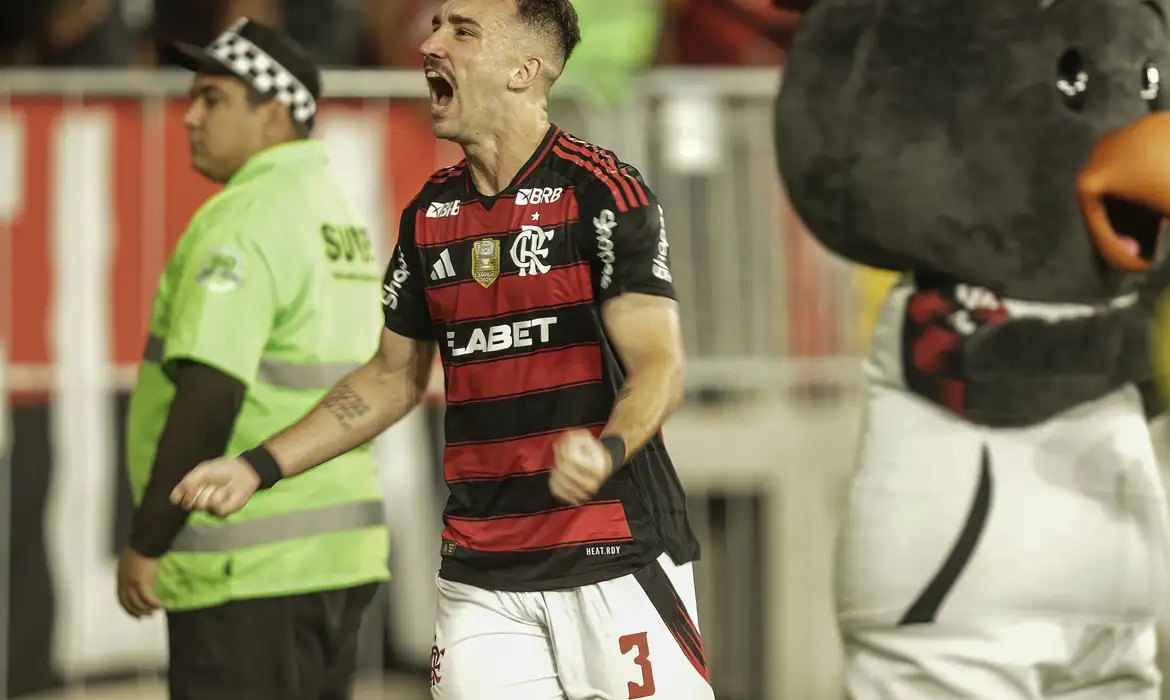 Flamengo assume liderança do Brasileirão