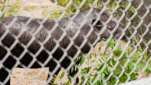 Zoológico Sargento Prata