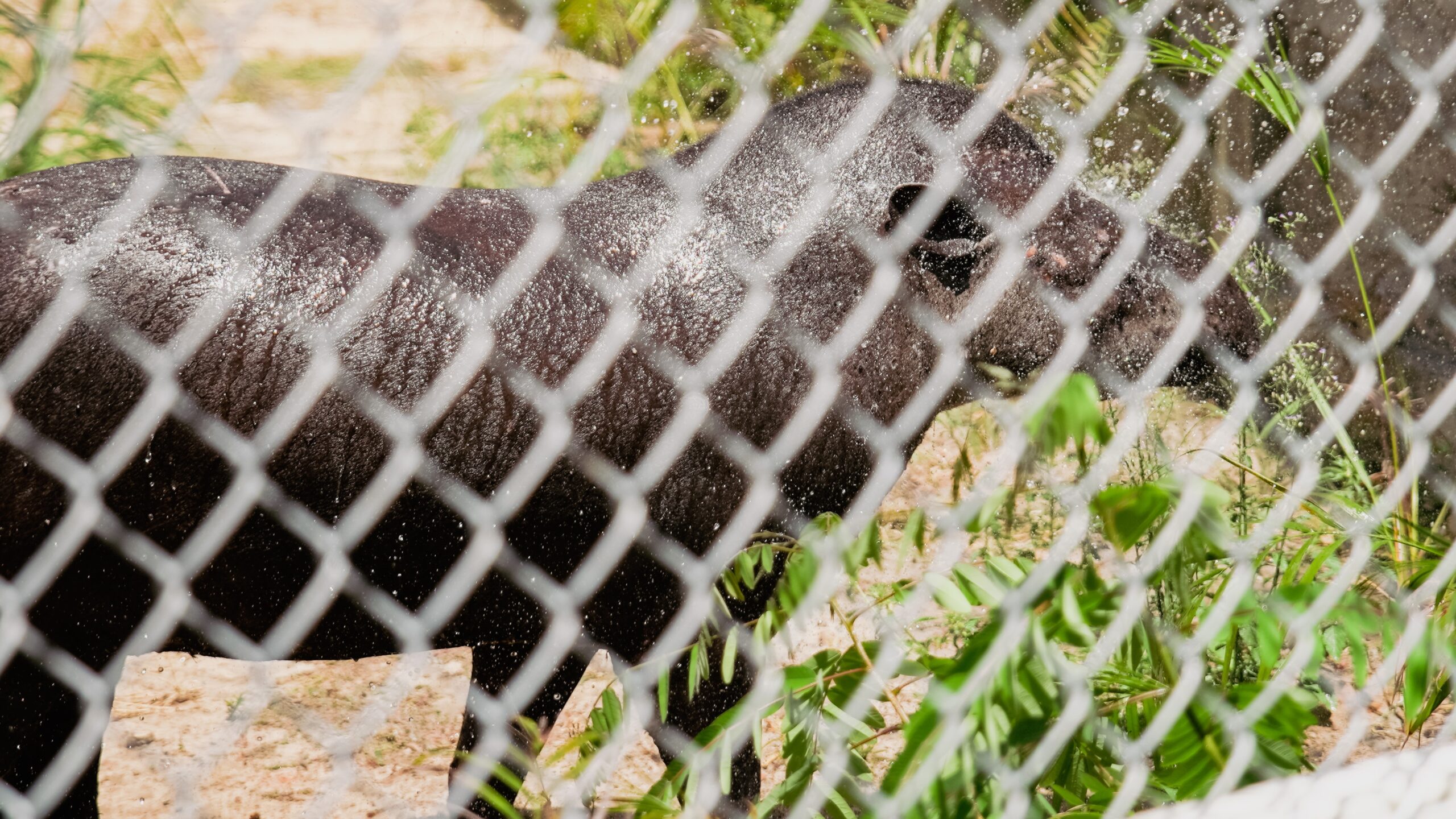 Zoológico Sargento Prata