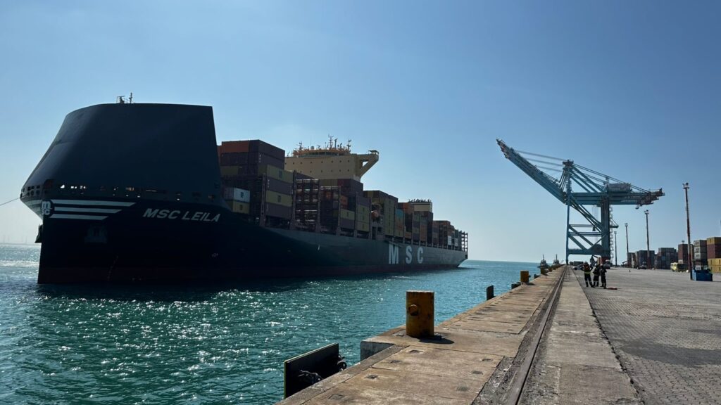 contêineres semanais de frutas