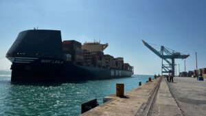 contêineres semanais de frutas