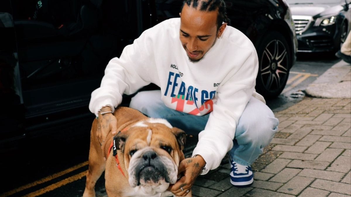 Lewis Hamilton Roscoe