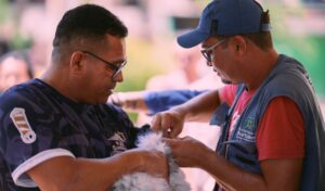 Vacinação antirrábica Fortaleza 2025