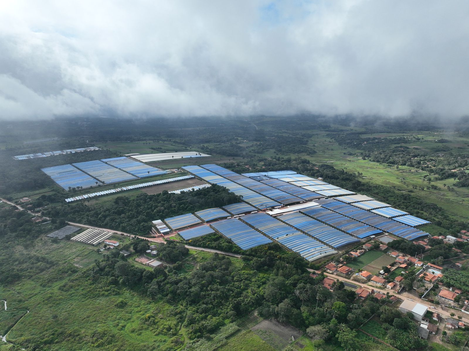 Coalizão Agro Ibiapaba