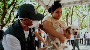 Vacinação antirrábica em Fortaleza