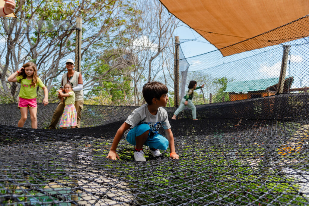 Parque Arvorar dezembro