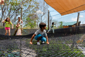 Parque Arvorar dezembro