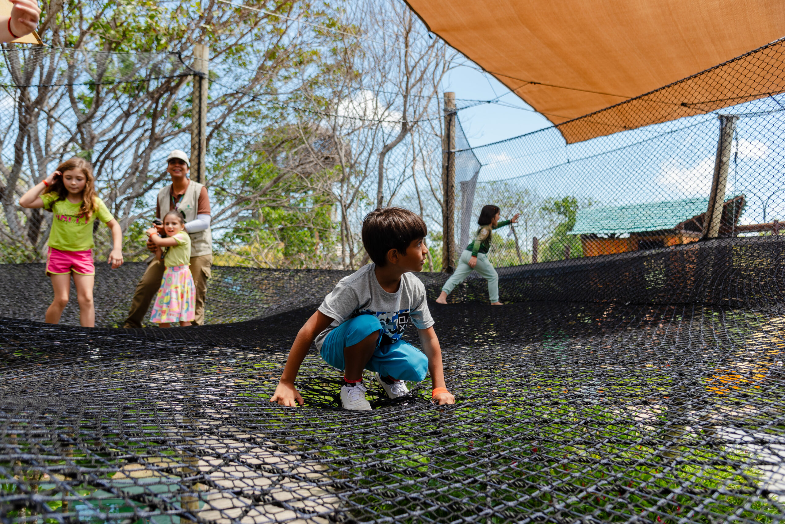 Parque Arvorar dezembro