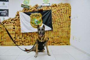 Operação Polícia Civil Fortaleza