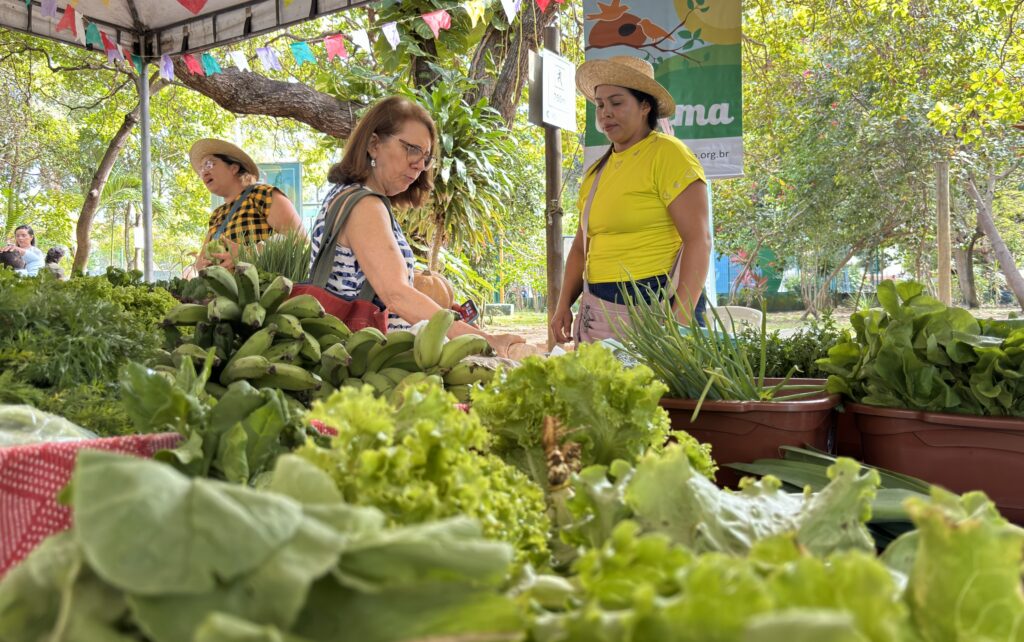 Feira Agroecológica Parque do Cocó