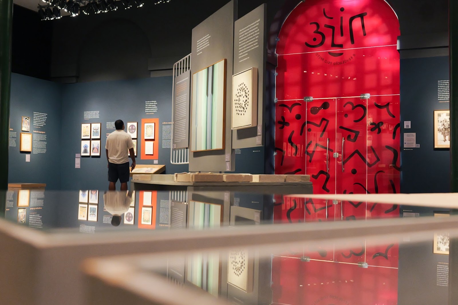 Exposição Nise da Silveira Fortaleza