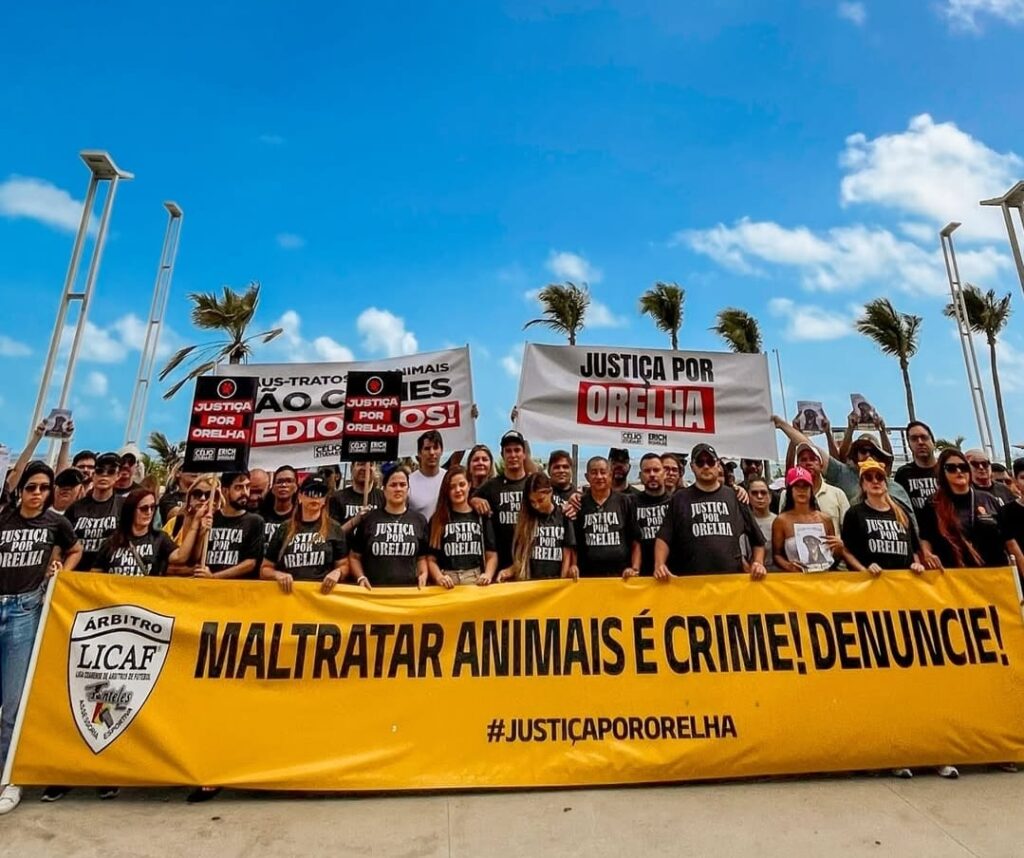 Justiça pelo Orelha