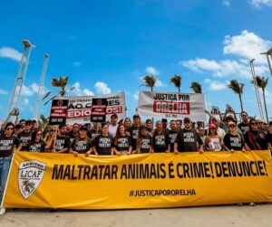 Justiça pelo Orelha