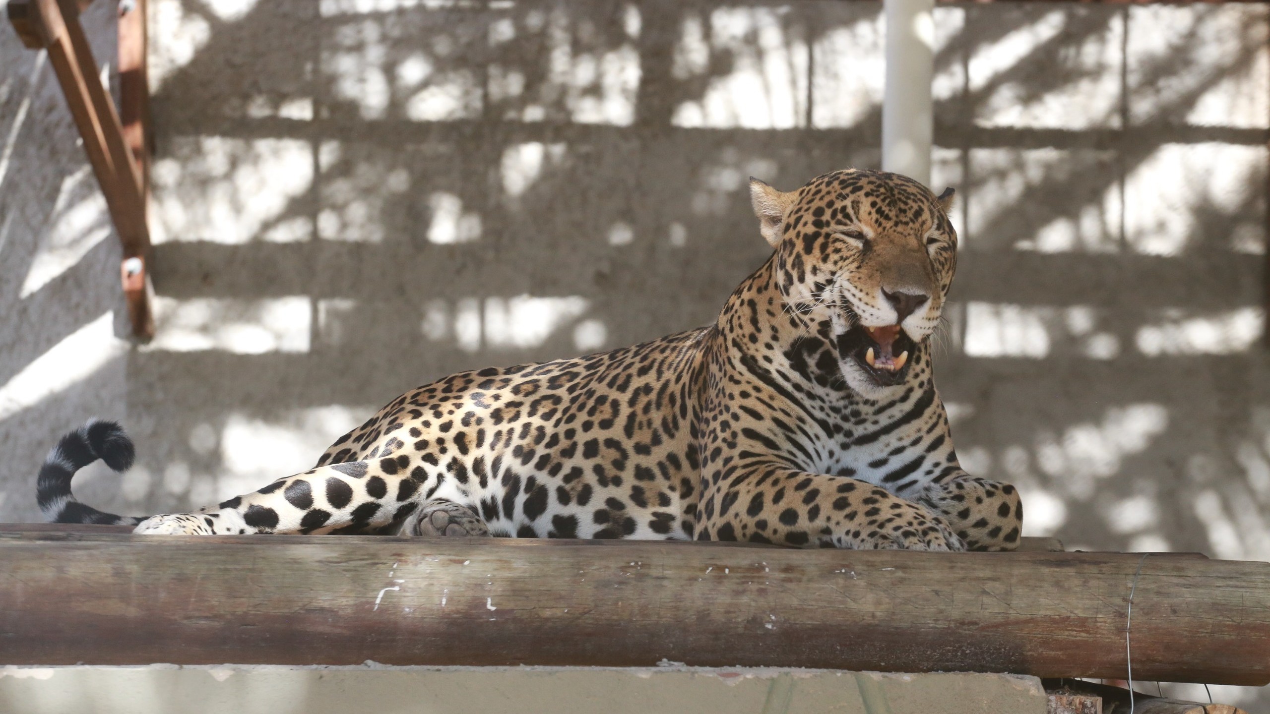 programação dos 300 anos de Fortaleza