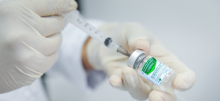 controle da raiva no Brasil