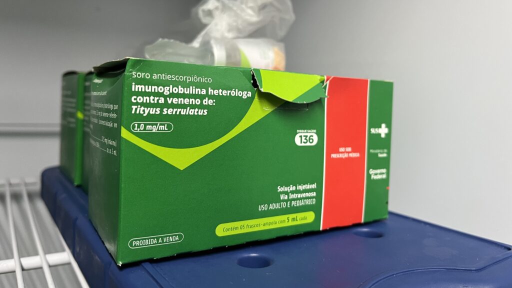 acidentes com escorpiões em Fortaleza