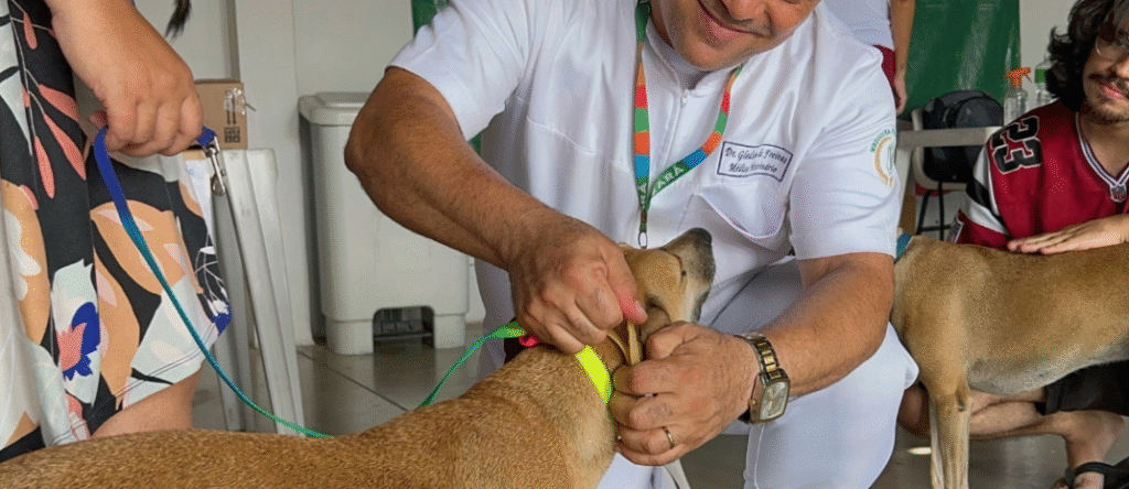 Giro Pet Ceará Cariri