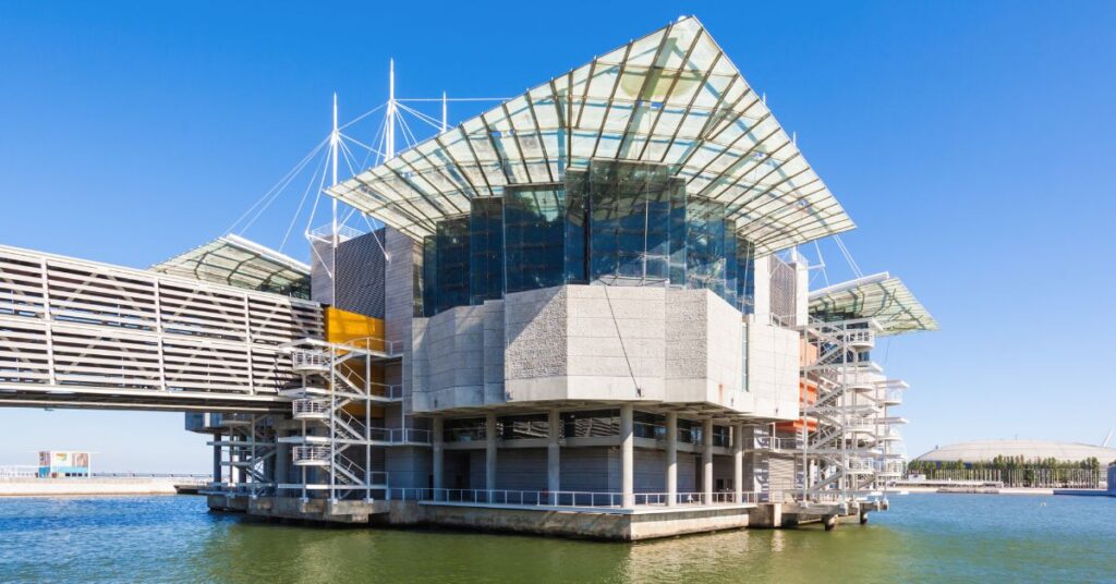 Florestas Submersas Oceanário Lisboa