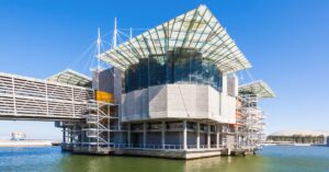 Florestas Submersas Oceanário Lisboa