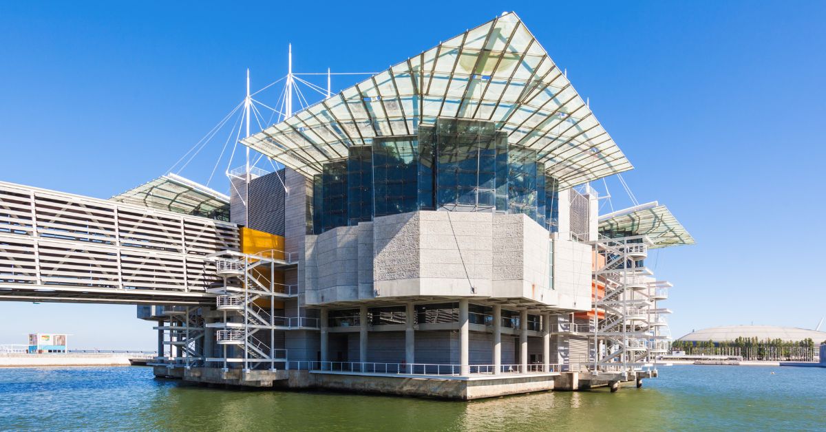Florestas Submersas Oceanário Lisboa