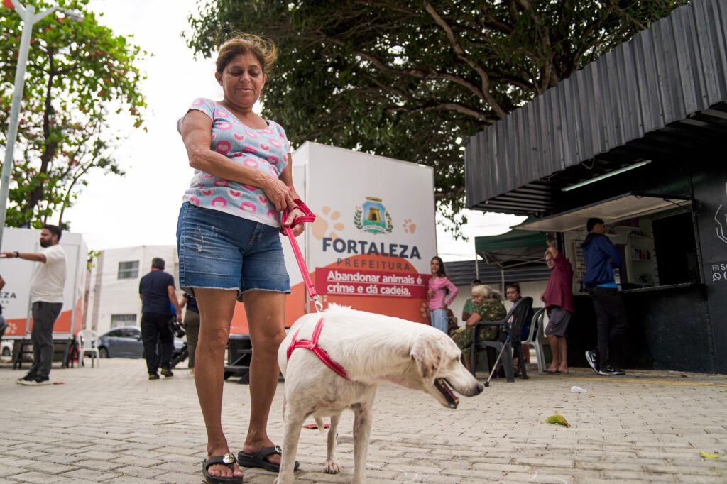 VetMóveis Fortaleza