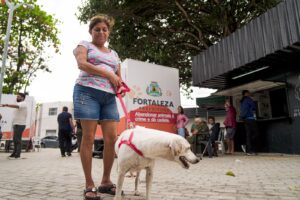 VetMóveis Fortaleza