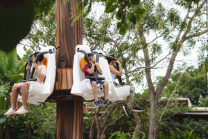 Parque Arvorar setembro