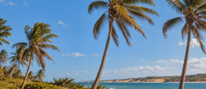 rajadas de vento Ceará